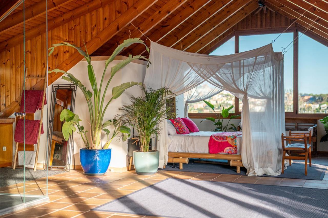Vila Barcelona'S Tropical Oasis Sant Just Desvern Exteriér fotografie